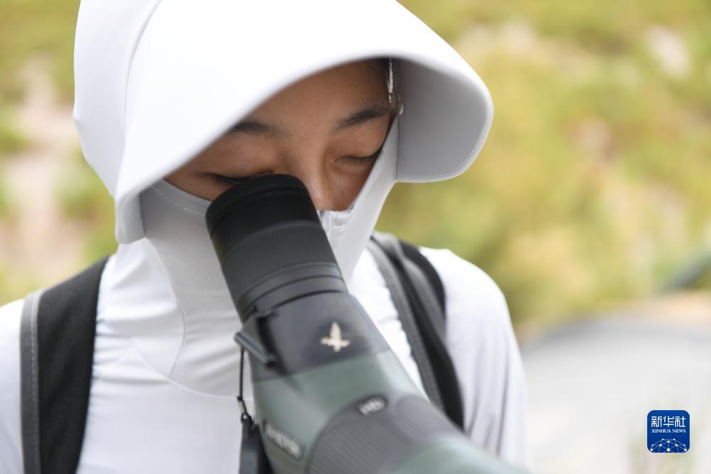 老虎机网址推荐